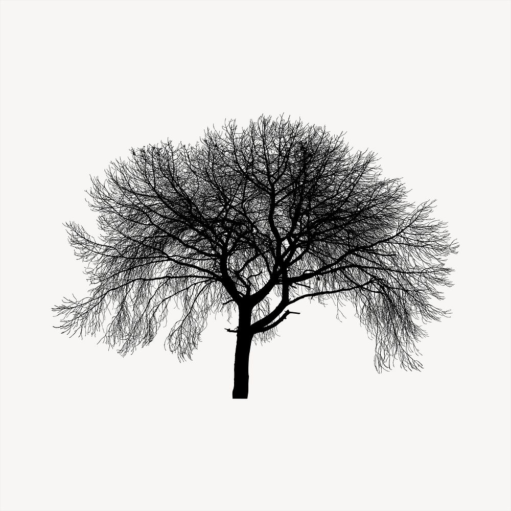 Silhouette tree clipart, nature illustration vector. Free public domain CC0 image.