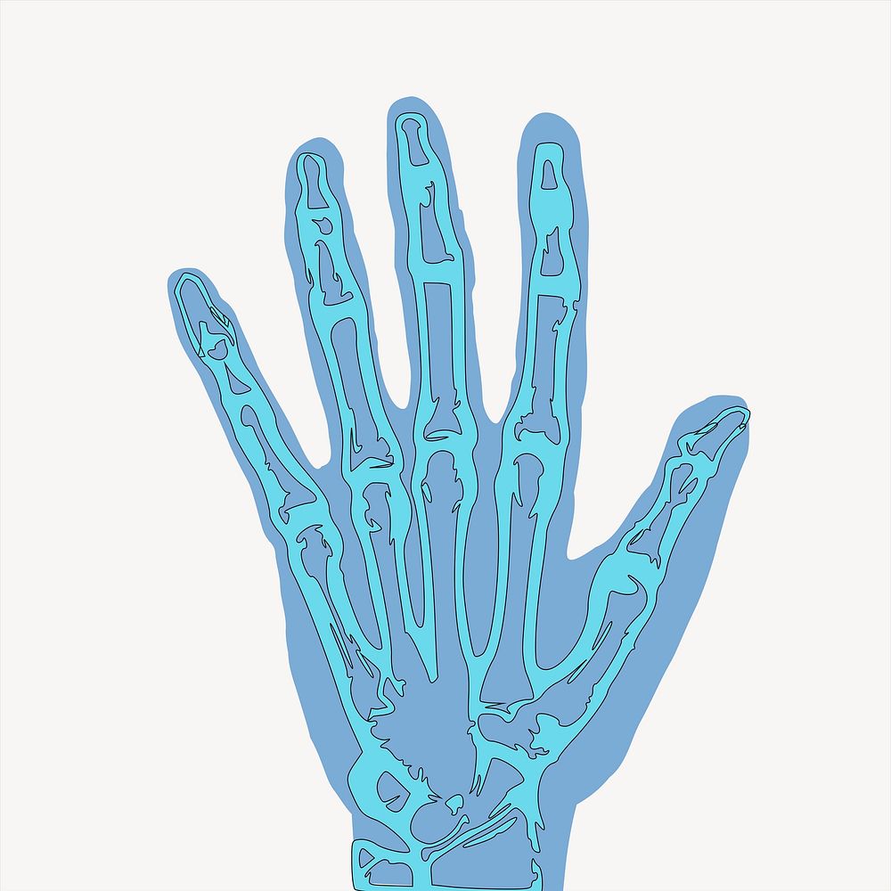 X-ray hand illustration. Free public domain CC0 image.