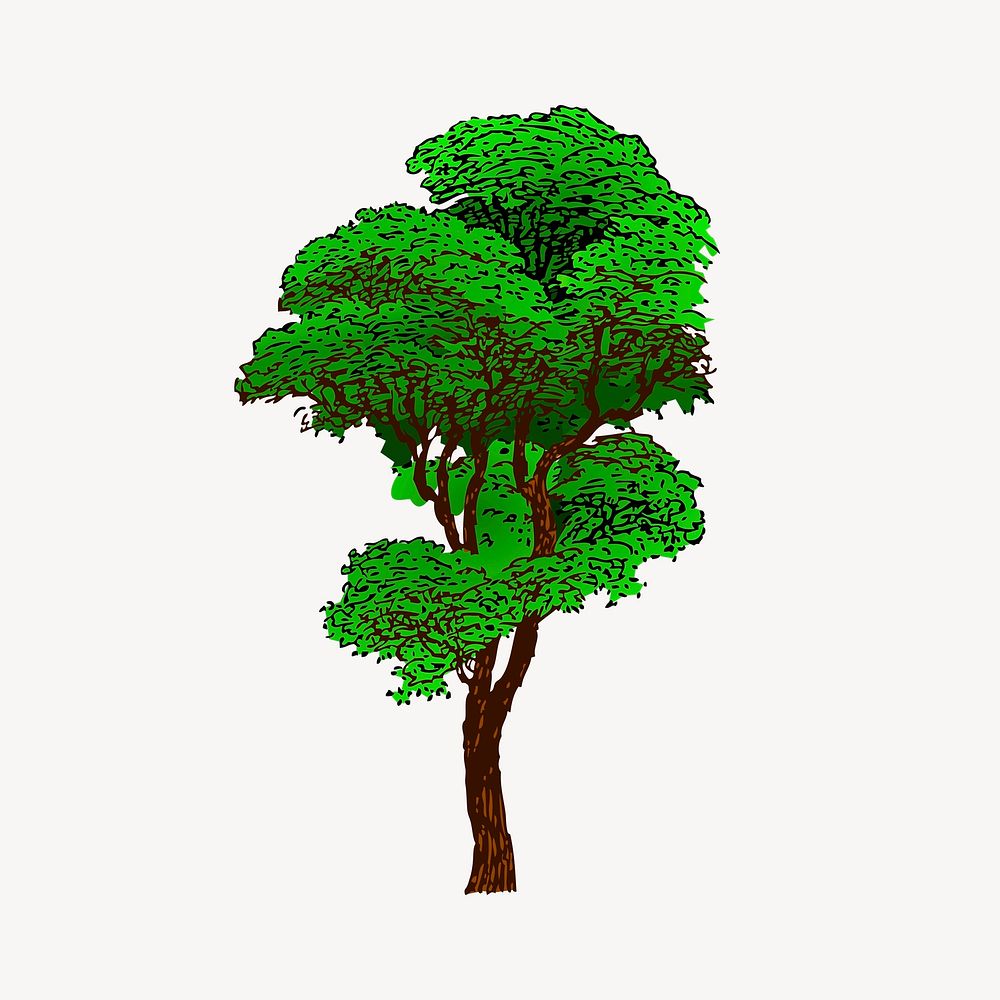 Big tree clipart, nature illustration vector. Free public domain CC0 image.