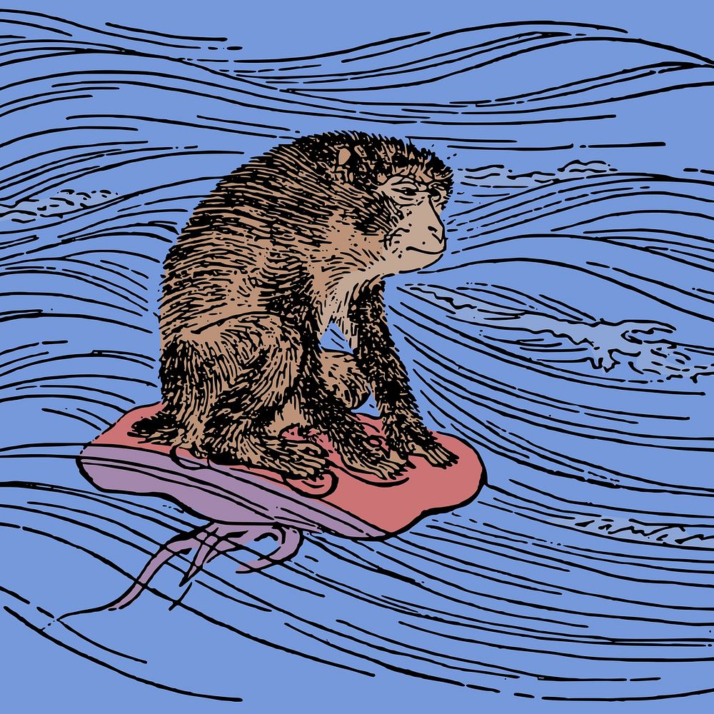 Japanese monkey clipart, animal illustration vector. Free public domain CC0 image.