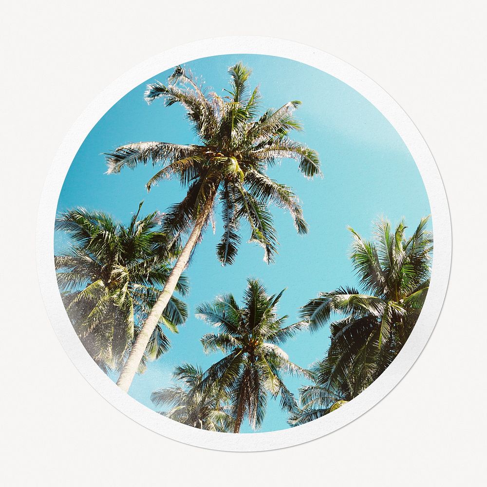 Palm trees badge, Summer aesthetic isolated image