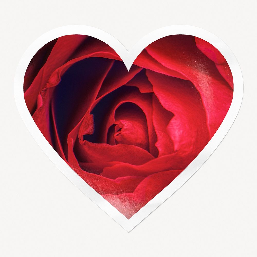 Red rose heart badge, Valentine's celebration image