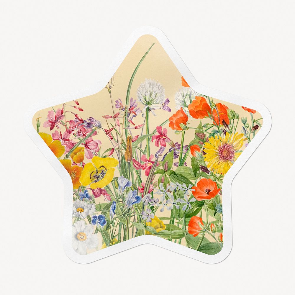 Flower field star badge, aesthetic isolated image