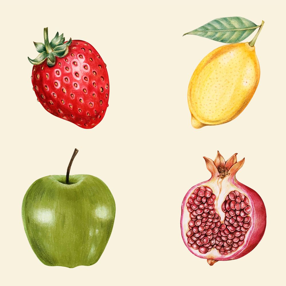 Organic fruit vintage vector hand-drawn collection