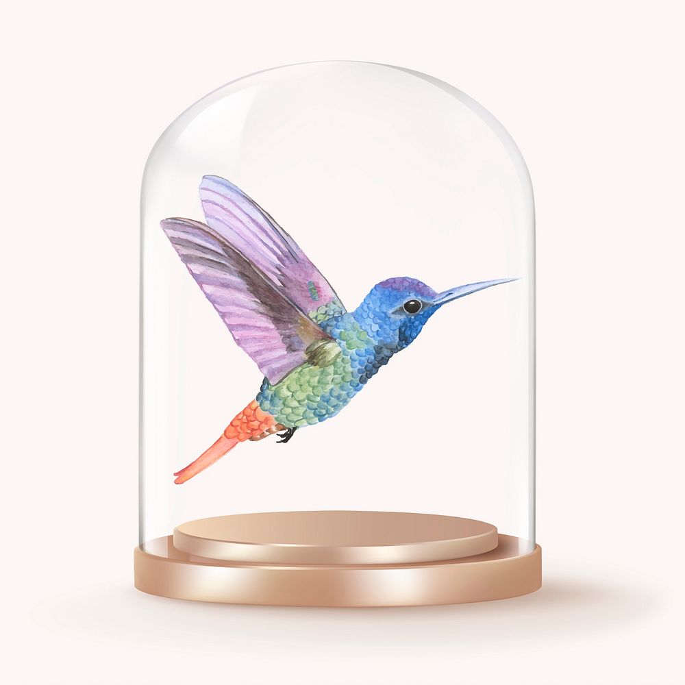 Flying hummingbird in glass dome, animal concept art