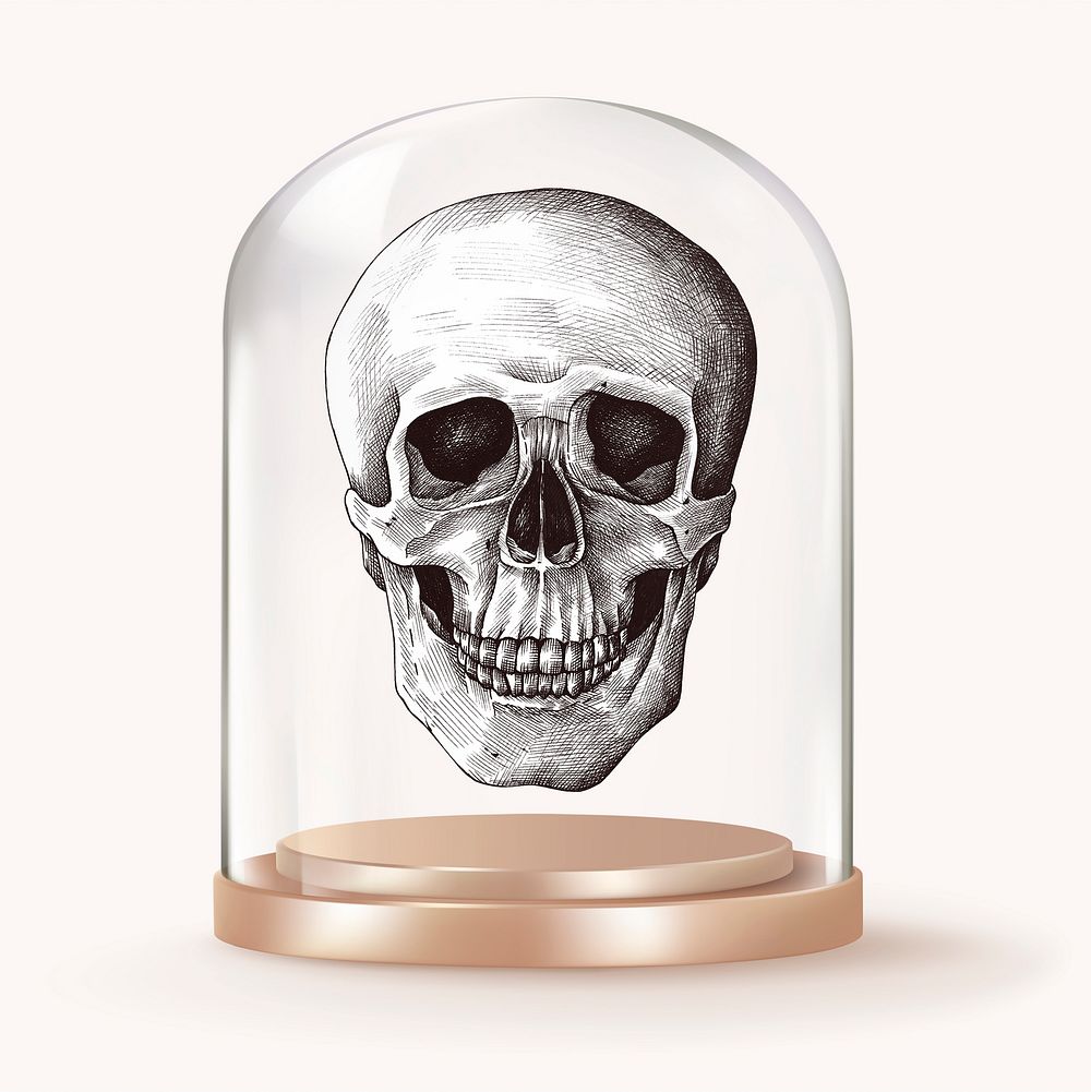 Human skull in glass dome, medical concept art