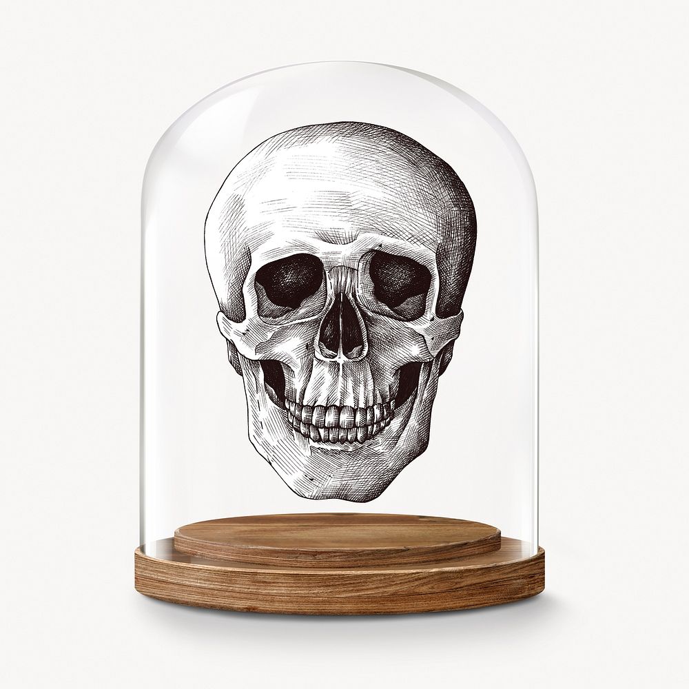 Human skull in glass dome, medical concept art