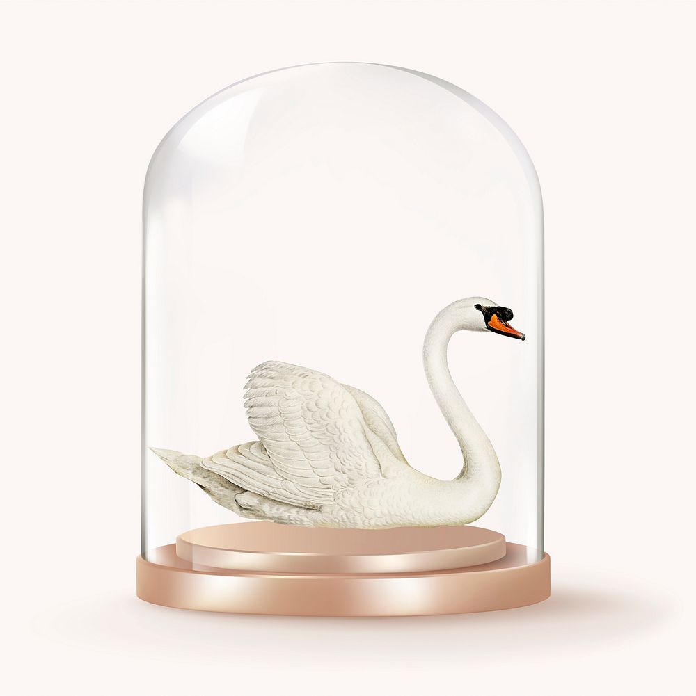 Swan in glass dome, animal concept art