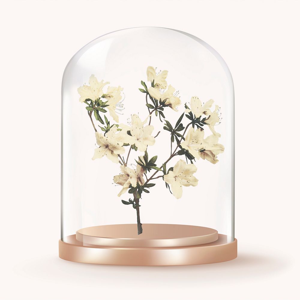 Azalea flowers in glass dome, Spring concept art