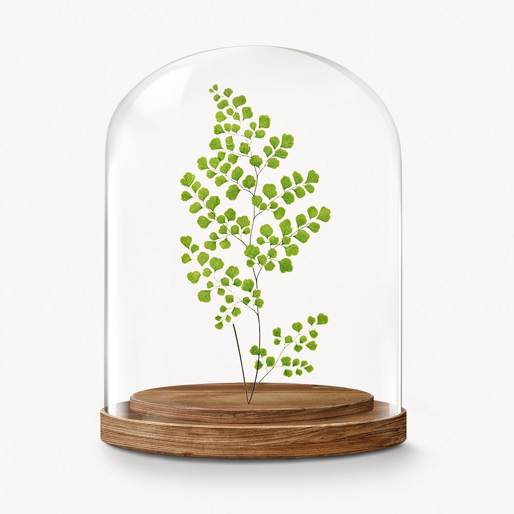 Leaf branch in glass dome, botanical concept art