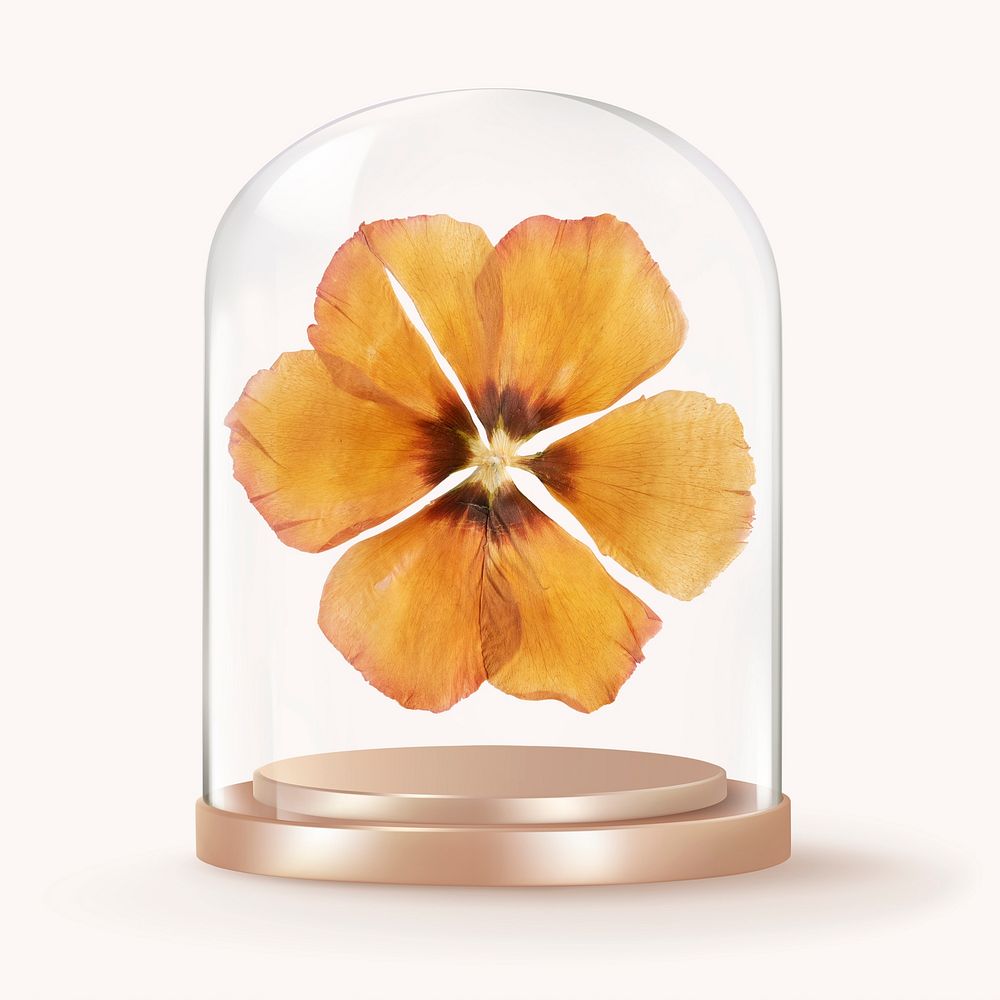 Dried anemone in glass dome, Autumn flower concept art