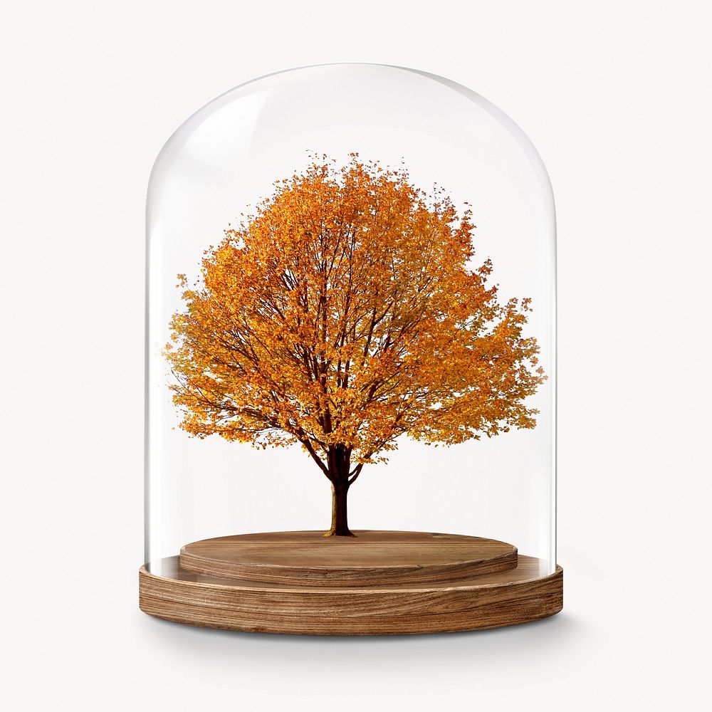 Autumn tree in glass dome, seasonal aesthetic concept art