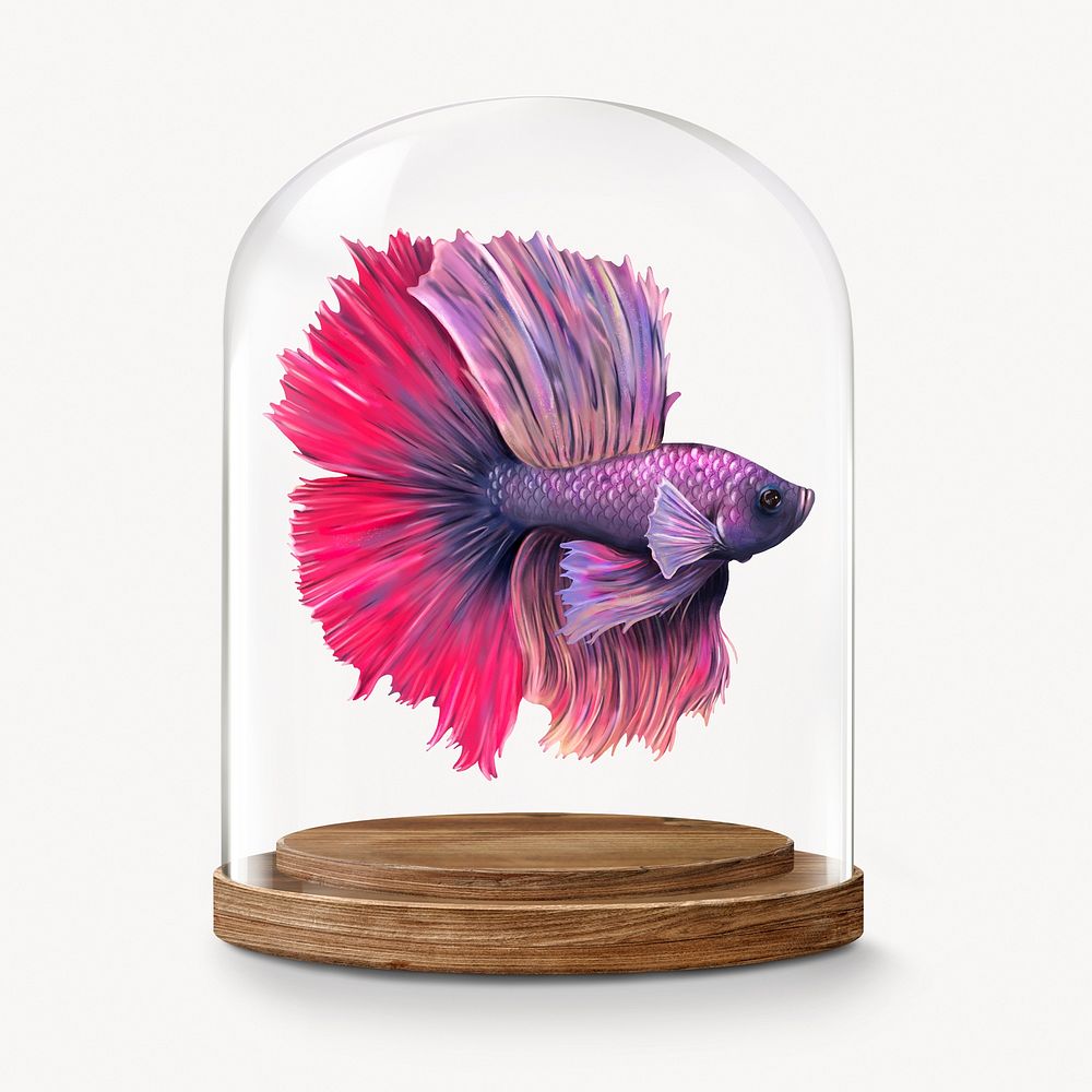 Siamese fighting fish in glass dome, animal concept art