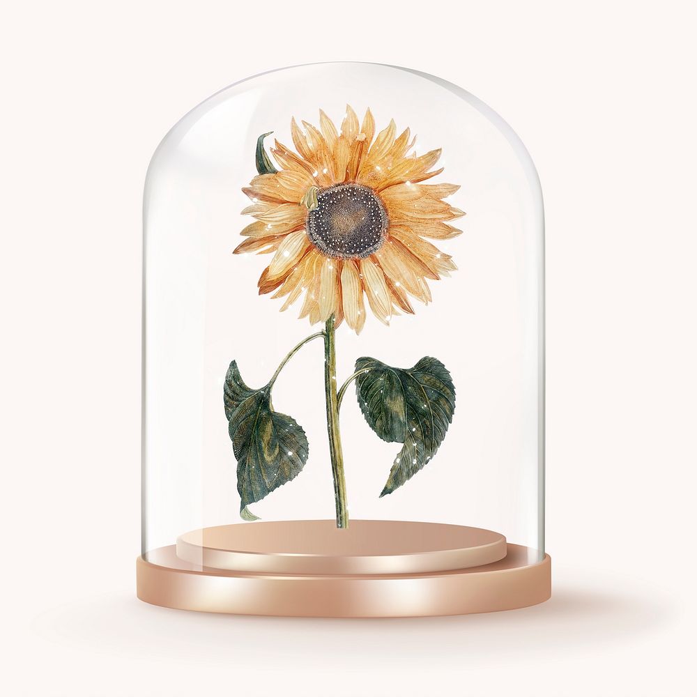 Sparkly sunflower in glass dome, flower aesthetic concept art