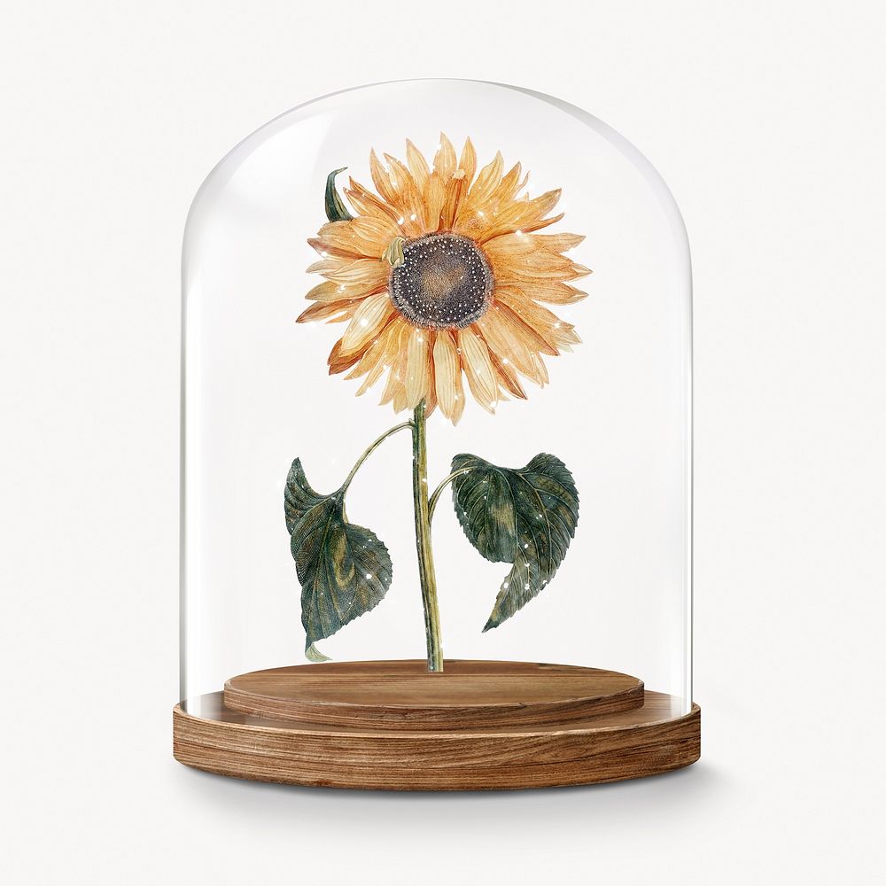 Sparkly sunflower in glass dome, flower aesthetic concept art