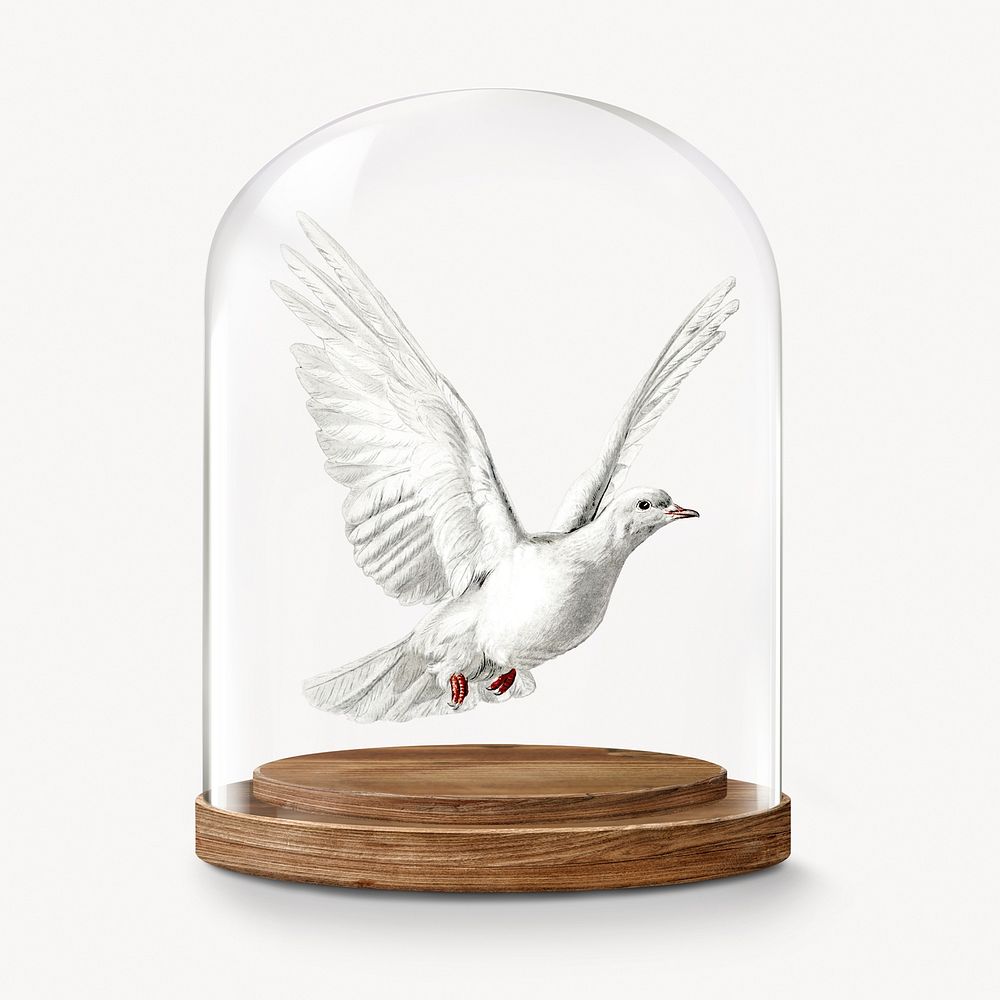 Flying dove in glass dome, bird concept art