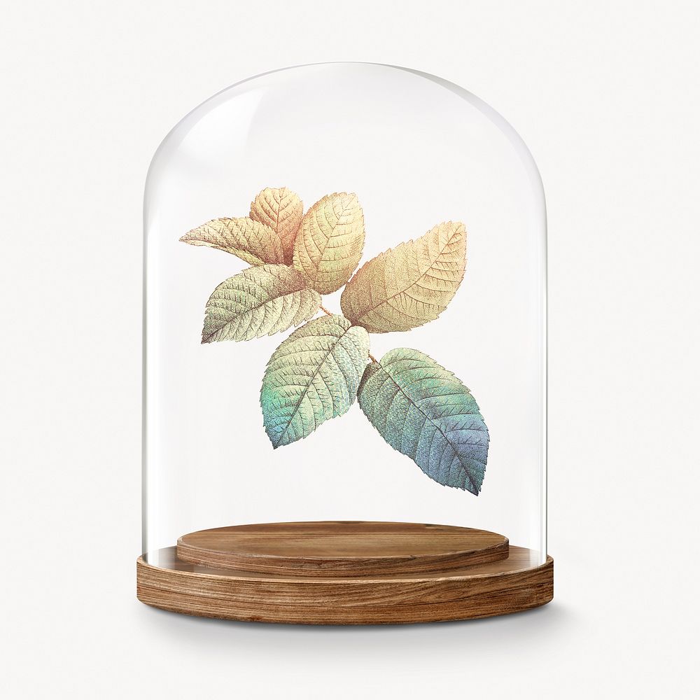 Gradient leaf branch in glass dome, botanical concept art
