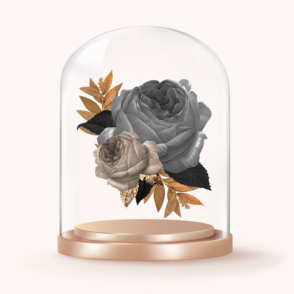 Black roses in glass dome, winter flower concept art