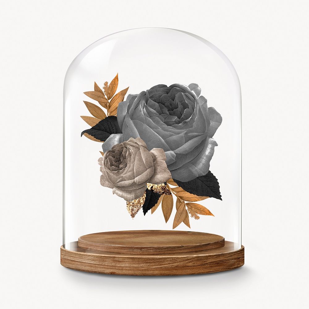 Black roses in glass dome, winter flower concept art