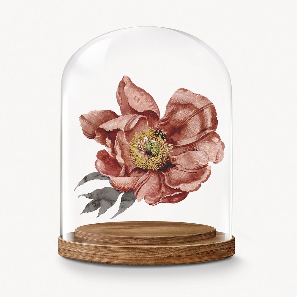 Dry flower in glass dome, Autumn concept art