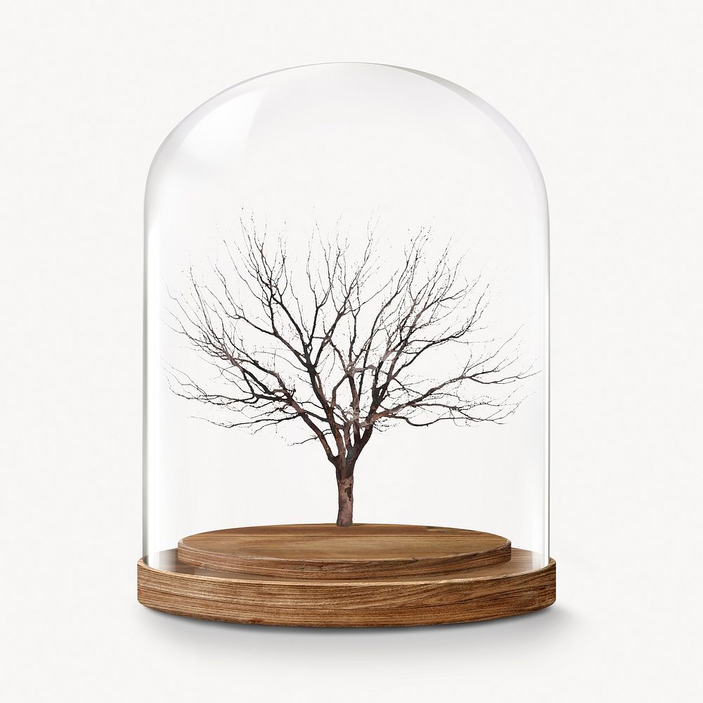 Leafless tree in glass dome, Autumn concept art