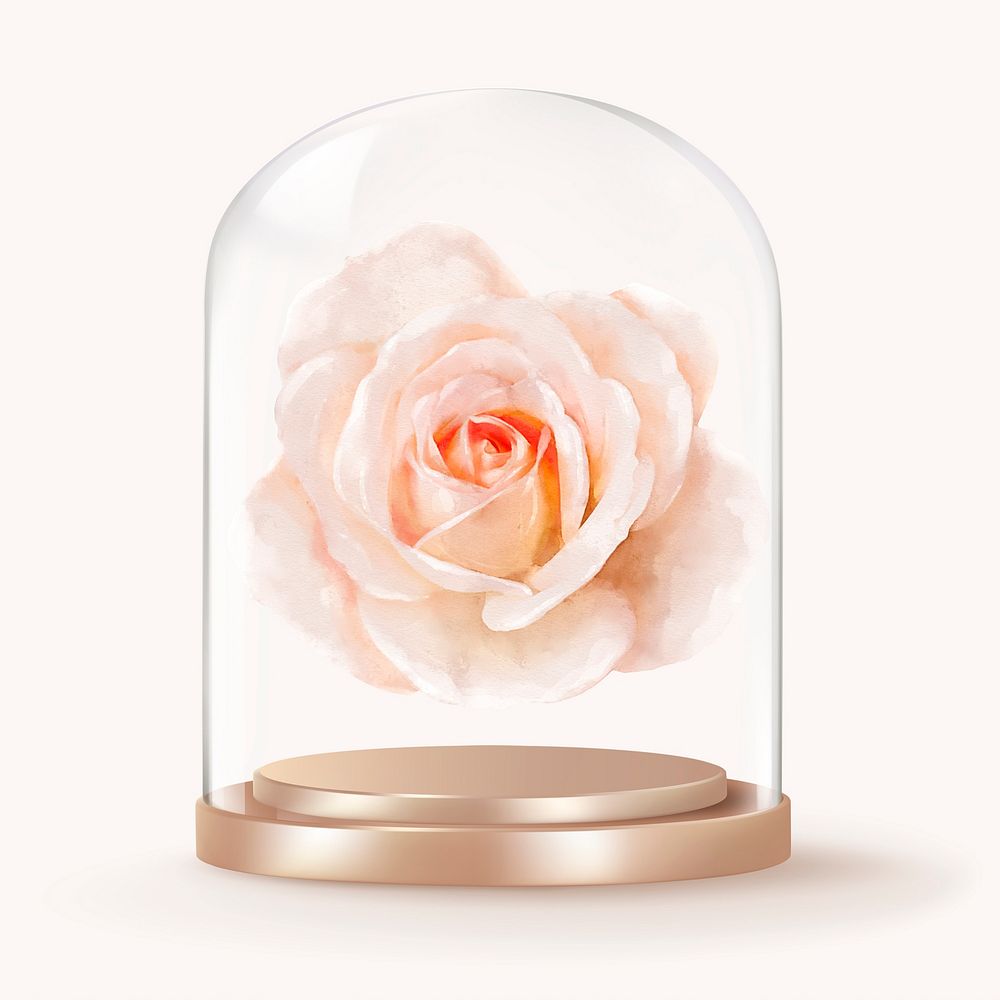 Blooming rose in glass dome, Spring flower concept art