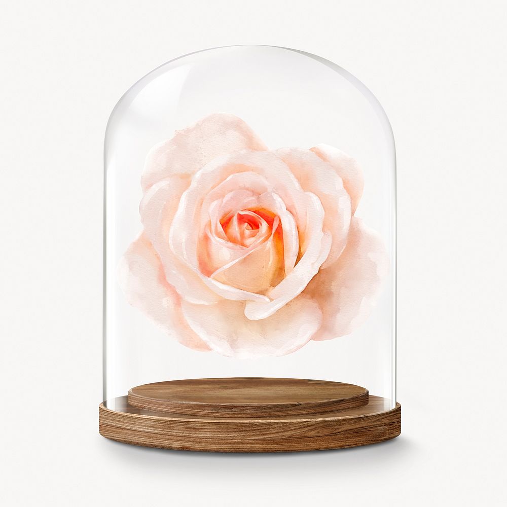 Blooming rose in glass dome, Spring flower concept art