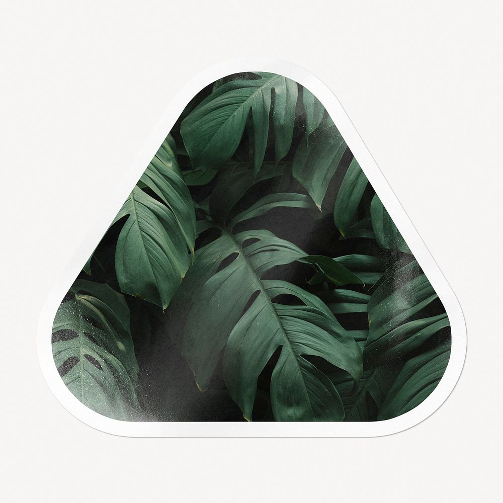 Green tropical leaves, triangle clipart with white border