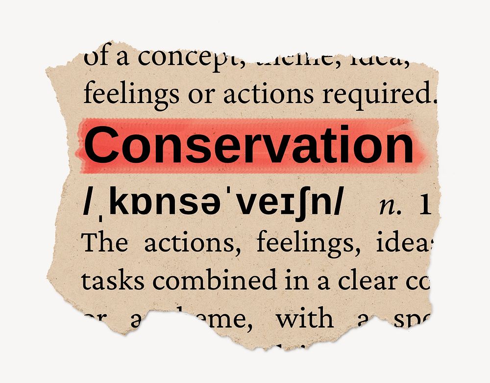 Conservation ripped dictionary, editable word collage element psd