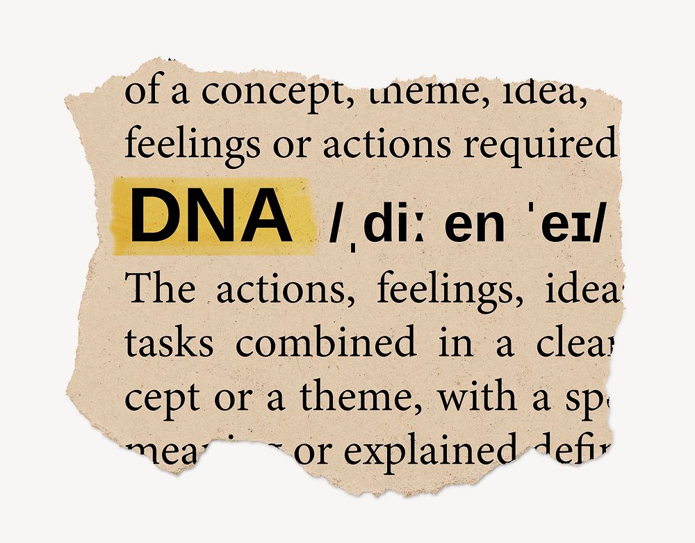 DNA dictionary word, vintage ripped paper design