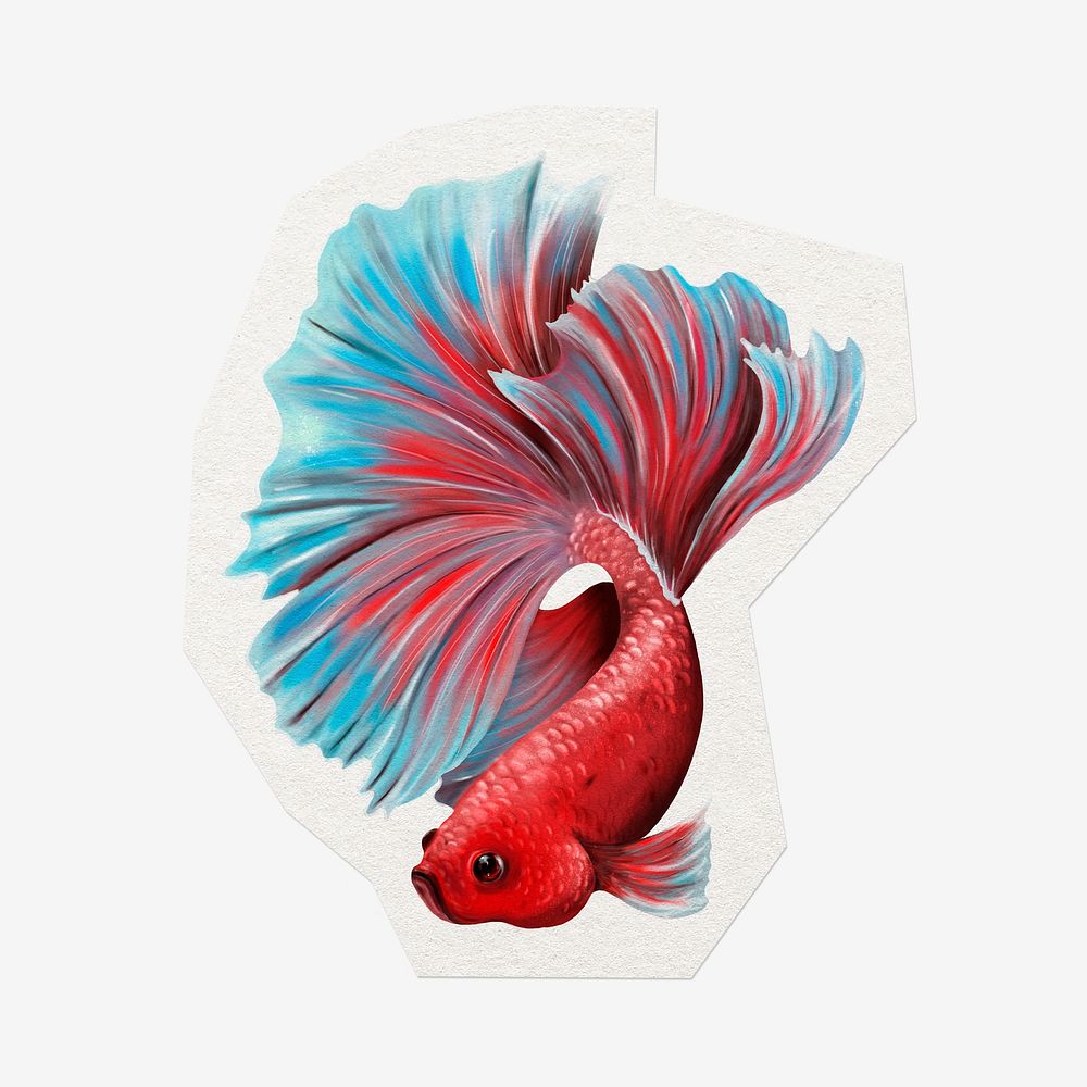 Colorful betta fish, cut out paper design, off white graphic