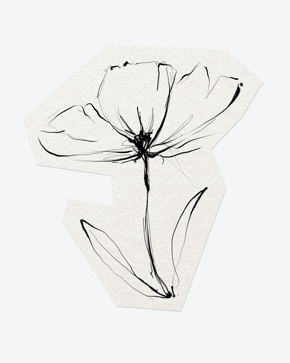 Hand drawn flower, cut out paper design, off white graphic
