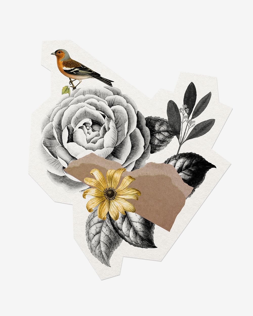 Flower collage, cut out paper design, off white graphic