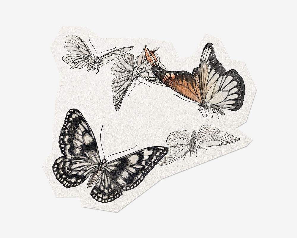 Vintage butterfly, cut out paper design, off white graphic