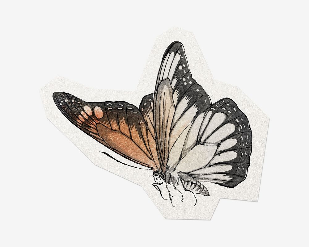 Vintage butterfly, cut out paper design, off white graphic