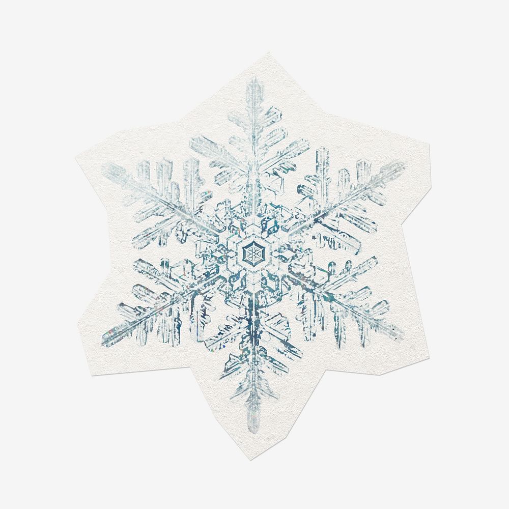 Winter snowflake, cut out paper, off white design