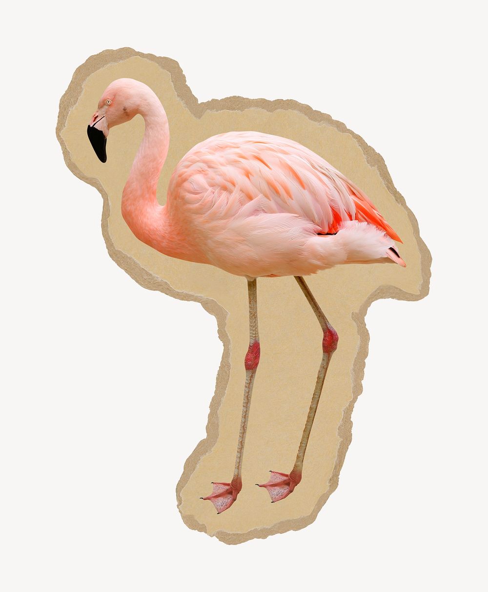 Flamingo collage element, animal torn paper design psd