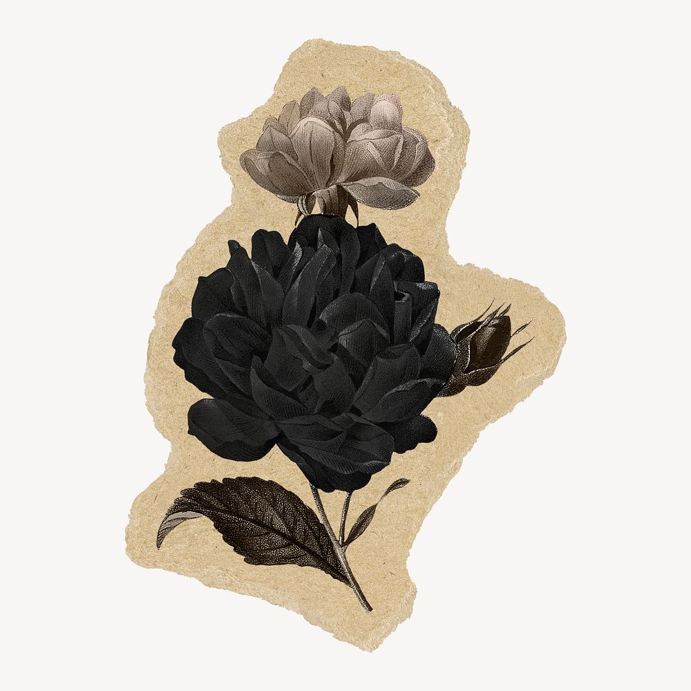 Black flower collage element, botanical ripped paper design psd