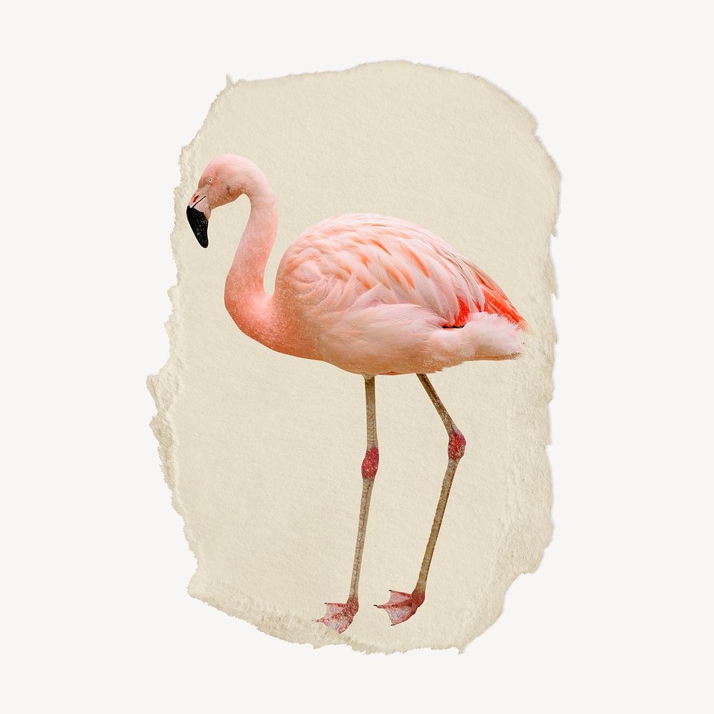 Flamingo bird sticker, ripped paper collage element psd