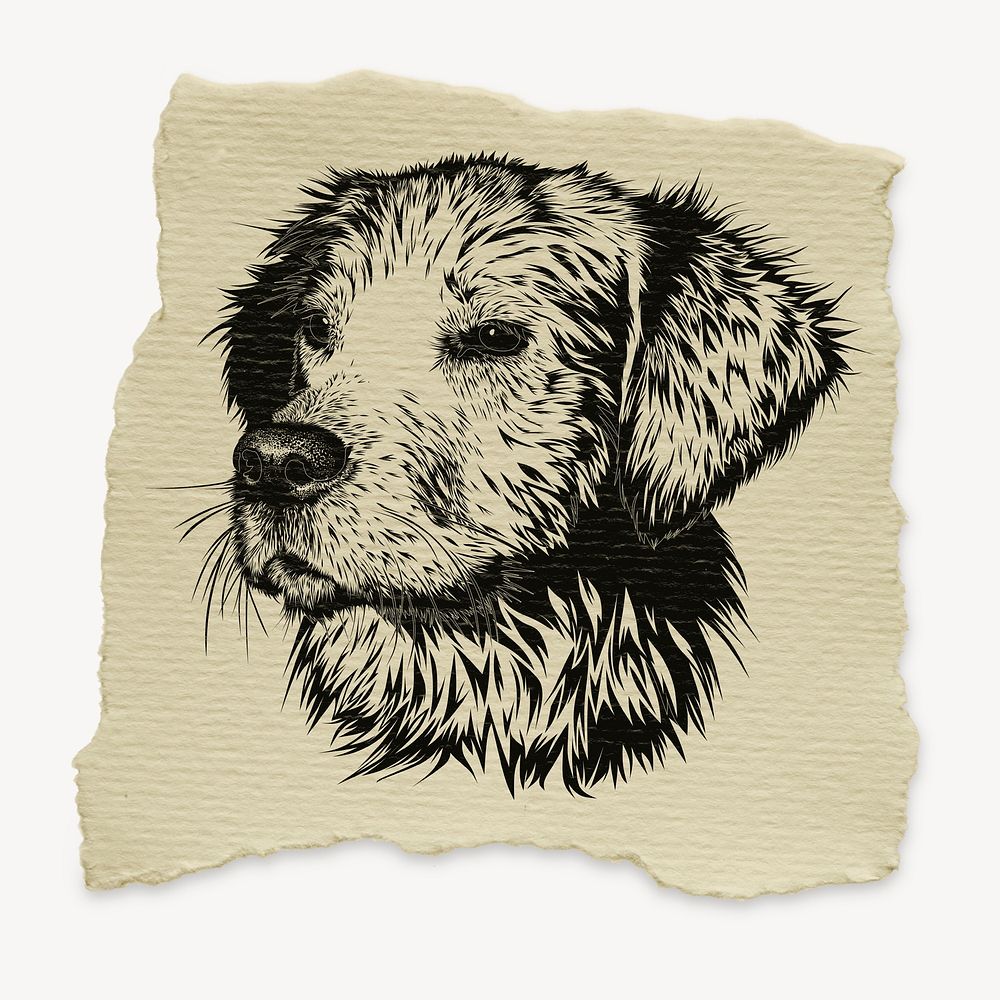 Golden Retriever dog animal sticker, ripped paper collage element psd