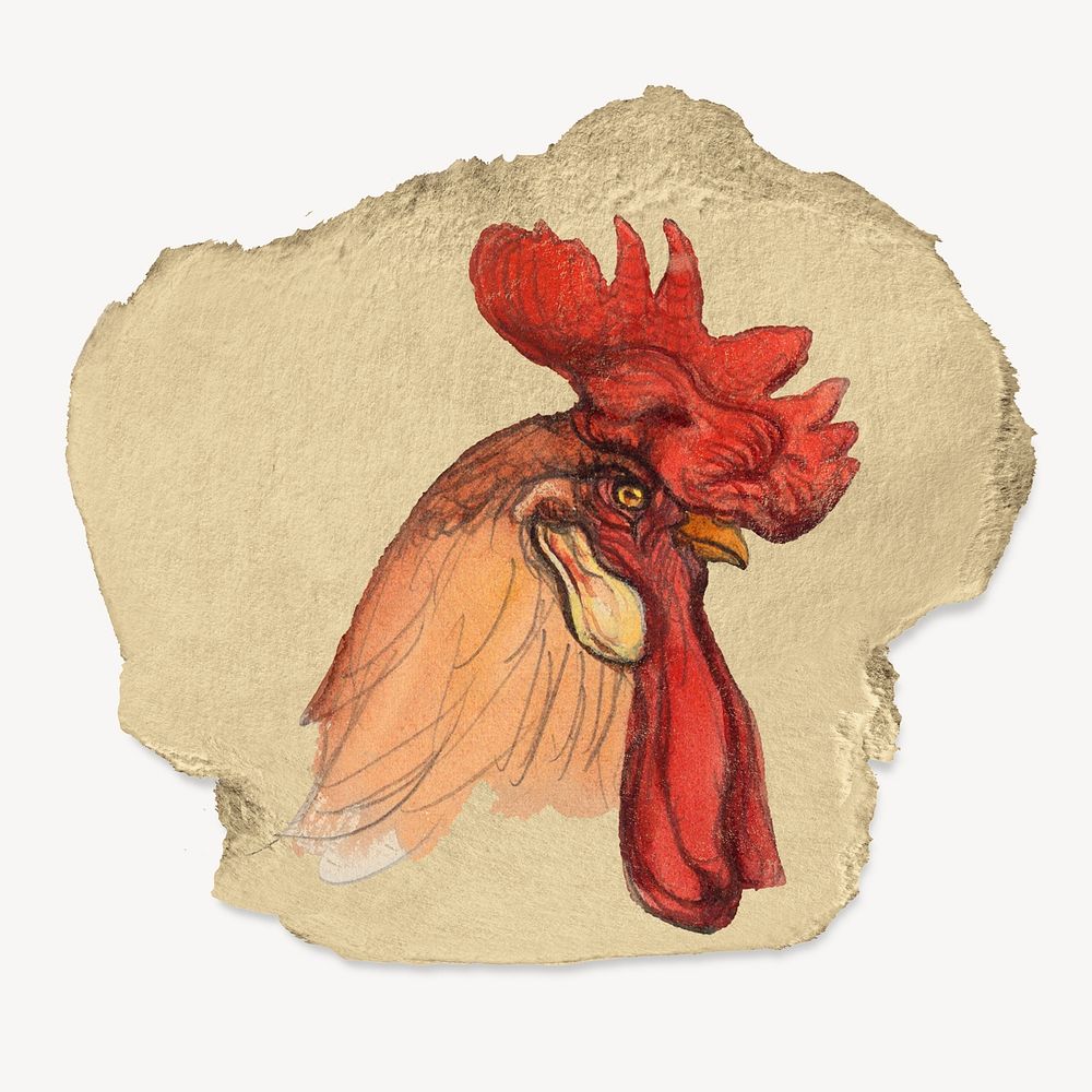 Chicken sticker, ripped paper collage element psd