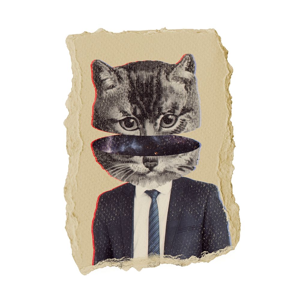 Cat businessman sticker, ripped paper collage element psd