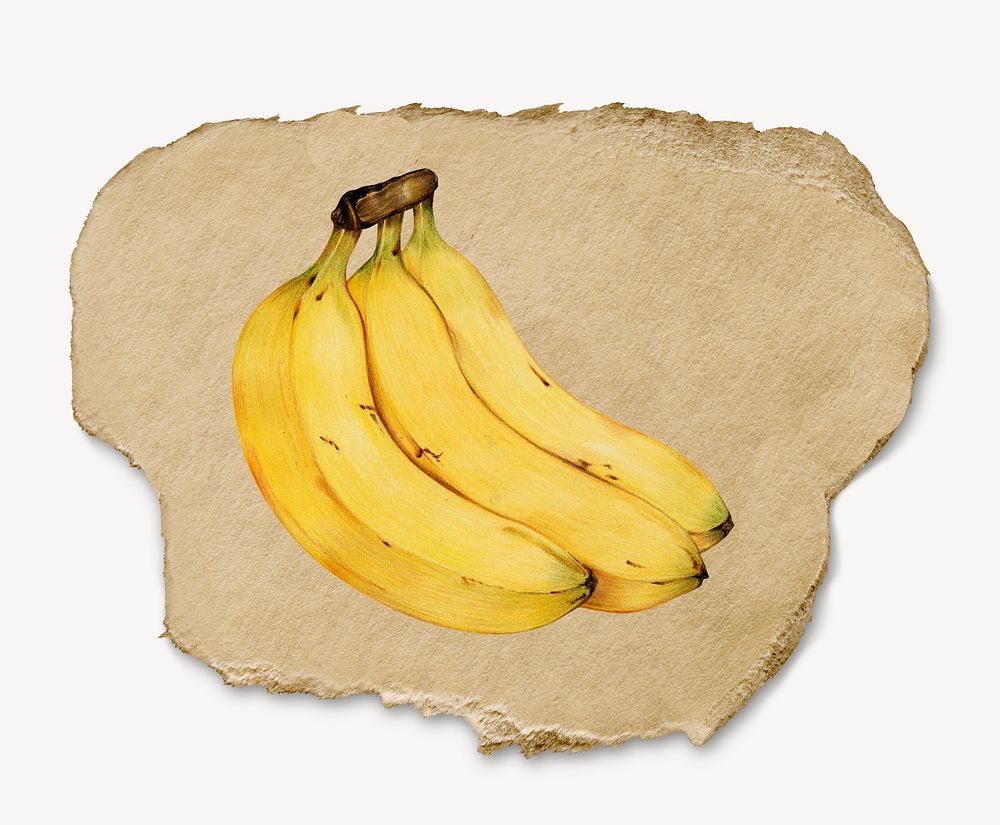 Banana, fruit, ripped paper collage element psd