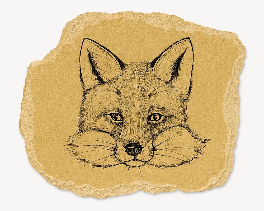 Vintage fox illustration, ripped paper collage element