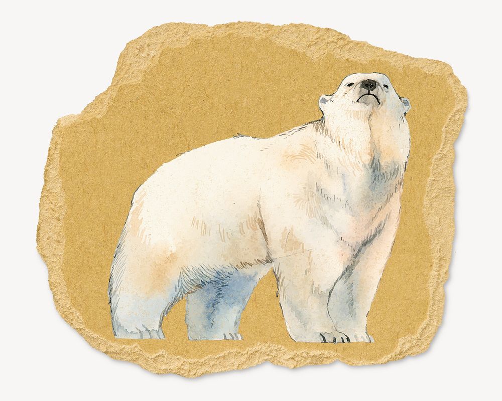 Polar bear, ripped paper collage element