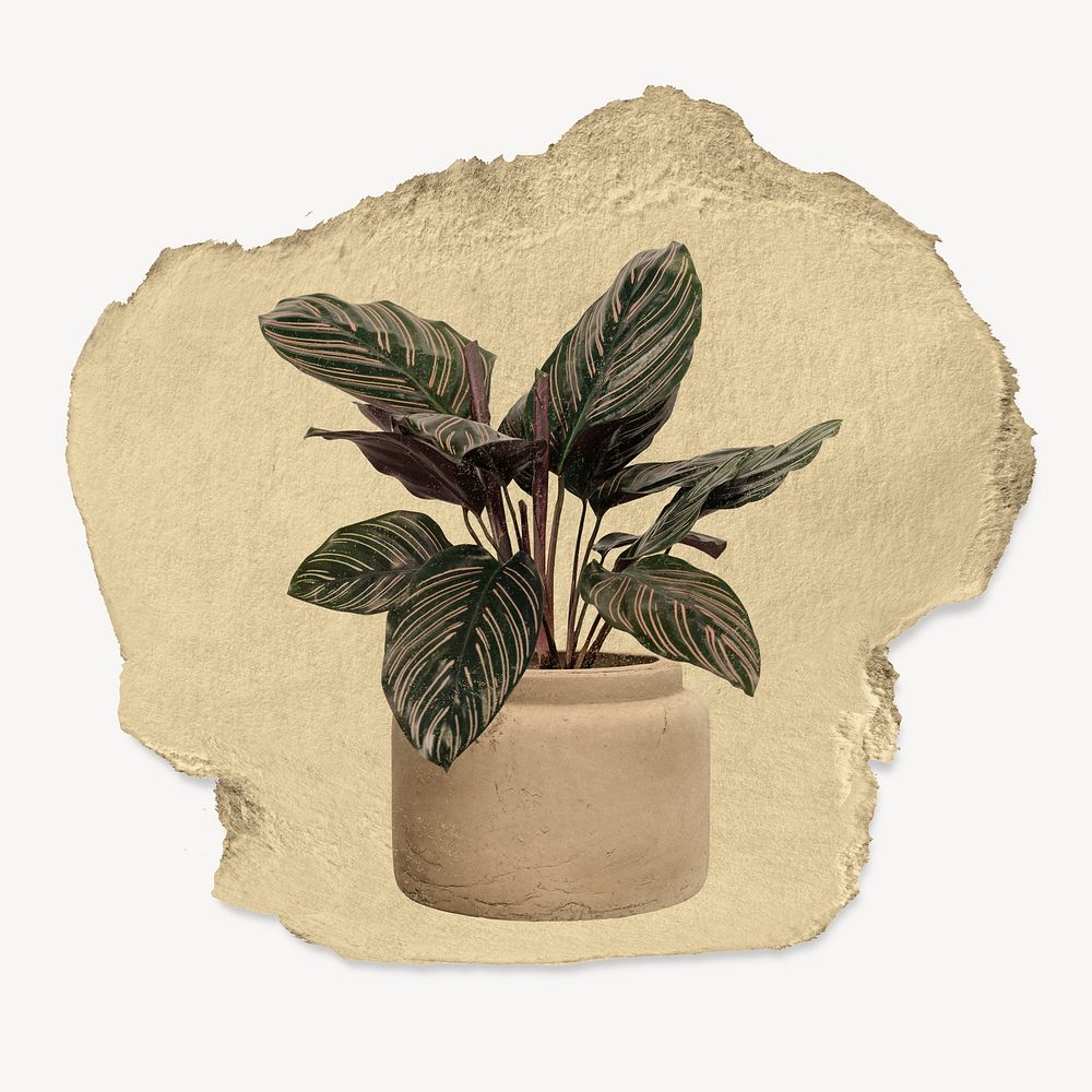 Aesthetic houseplant, ripped paper collage element