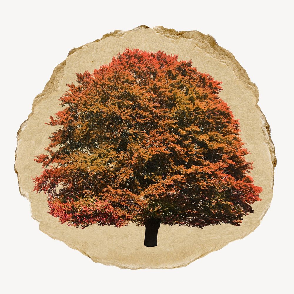 Autumn tree, botanical ripped paper design