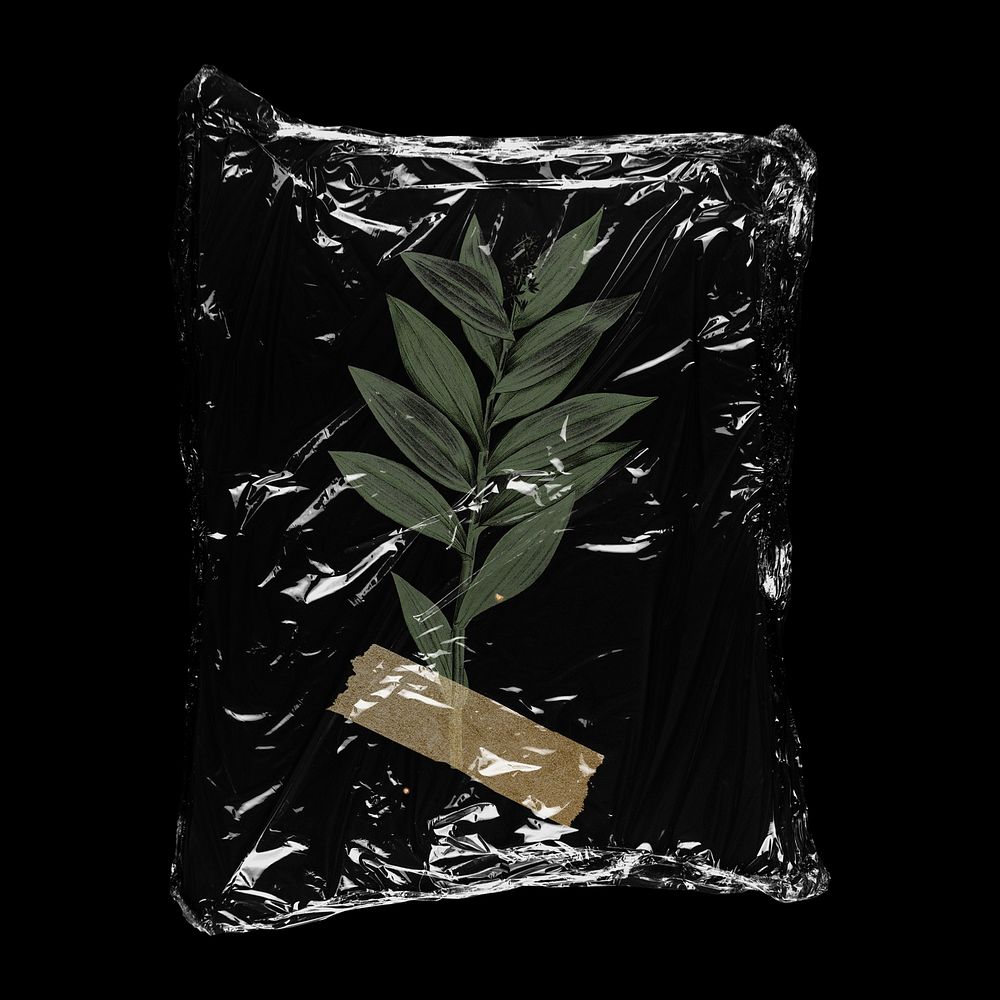 Leaf branch in plastic bag, botanical creative concept art