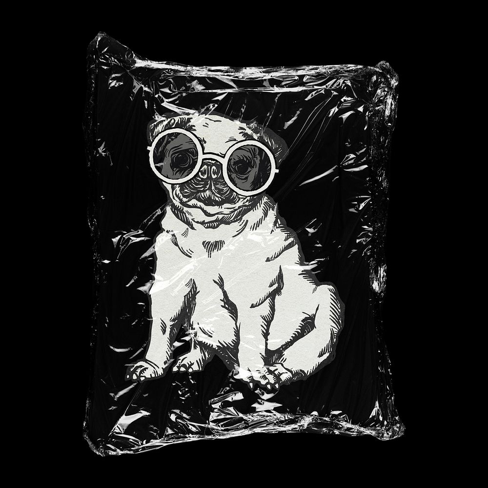 Pug puppy in plastic bag, pet fashion creative concept art