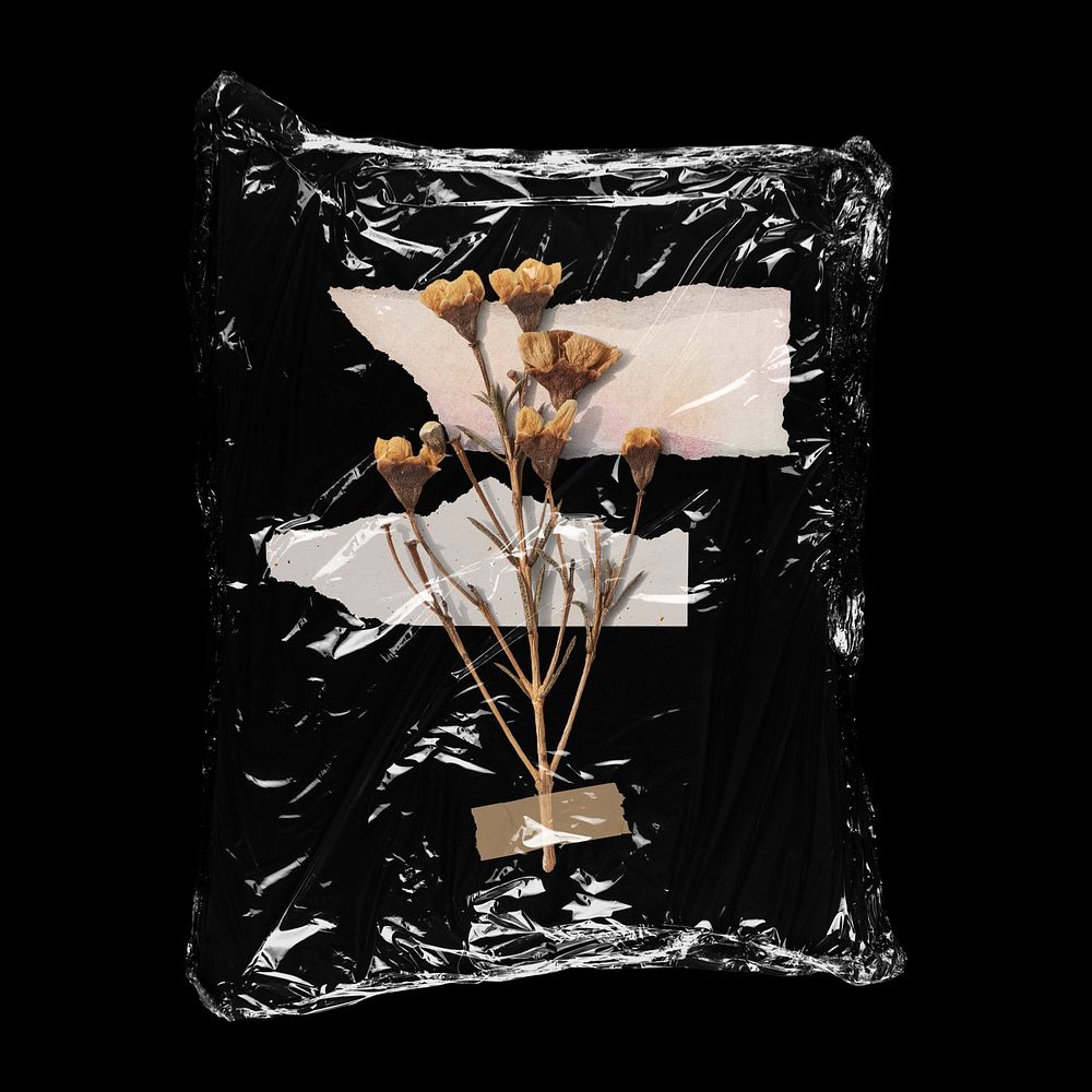 Dried flower in plastic bag, Autumn creative concept art